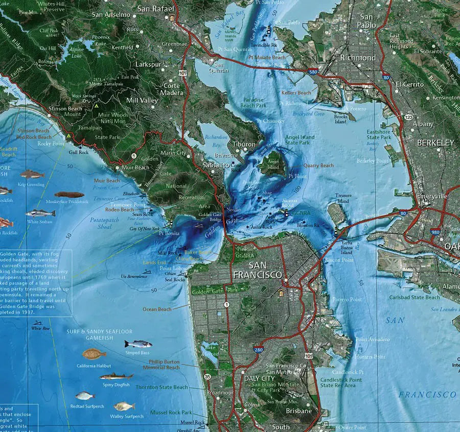 San Francisco Bay Satellite Map