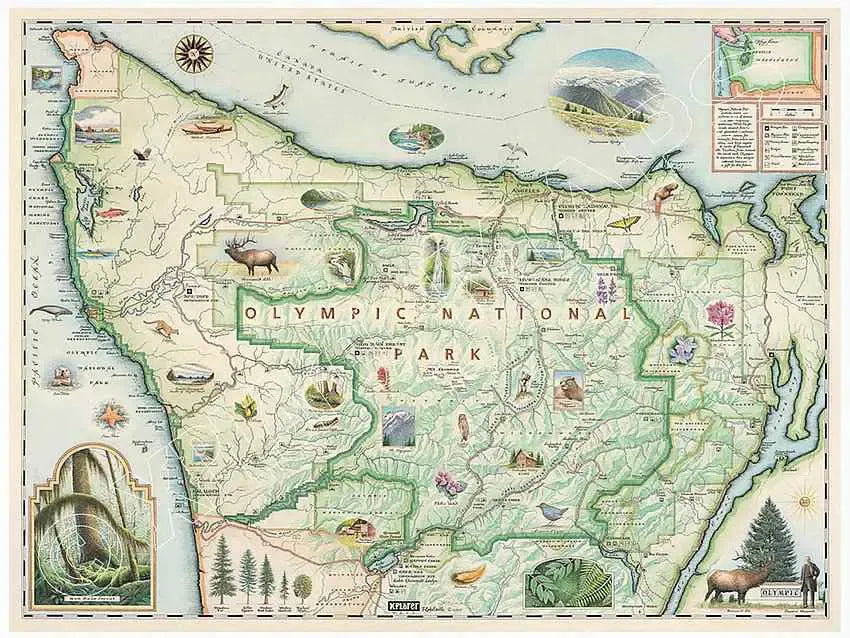 Olympic National Park Wall Map