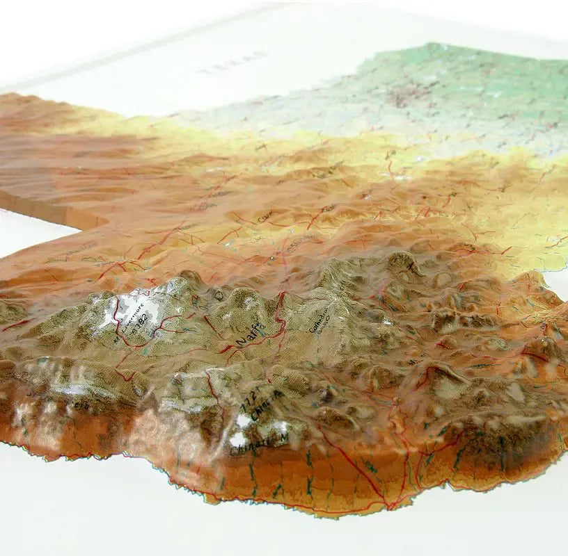 Texas Raised Relief Map (Raven Colors)