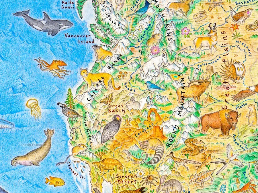 Wild World Wall Map by Anton Thomas