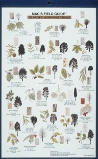 Mac's Field Guide to Pacific Northwest Trees