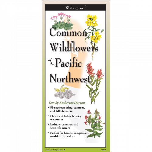 Common Wildflowers of Pacific Northwest Pocket Guide
