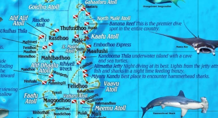 Republic of Maldives Map & Dive Guide by Franko Maps - Detail