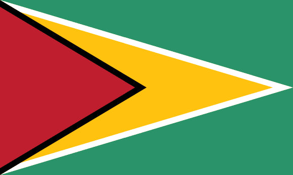 Guyana Flag