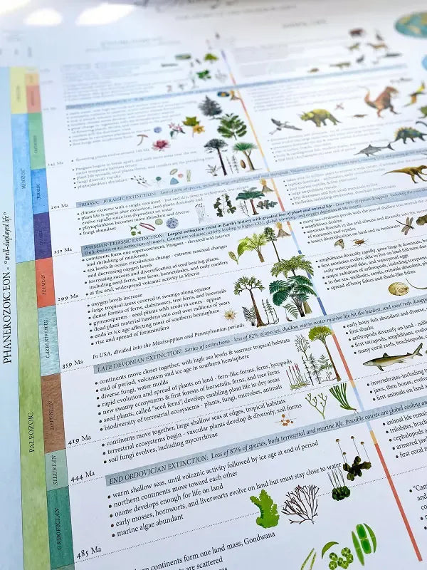 History of the Earth Timeline Poster Zoom