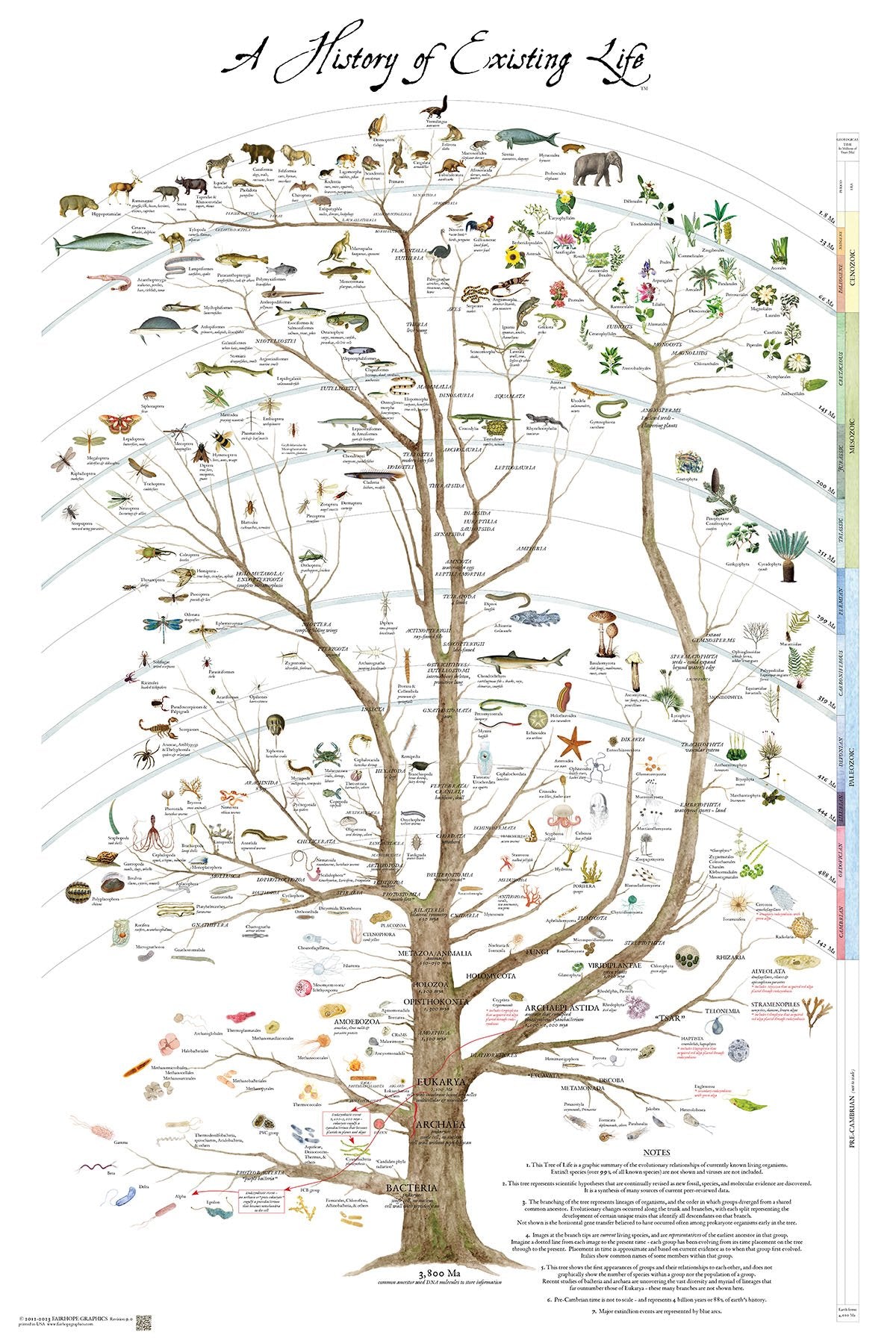 History of Exisiting Life Timeline Poster with tree and evolutionary branches