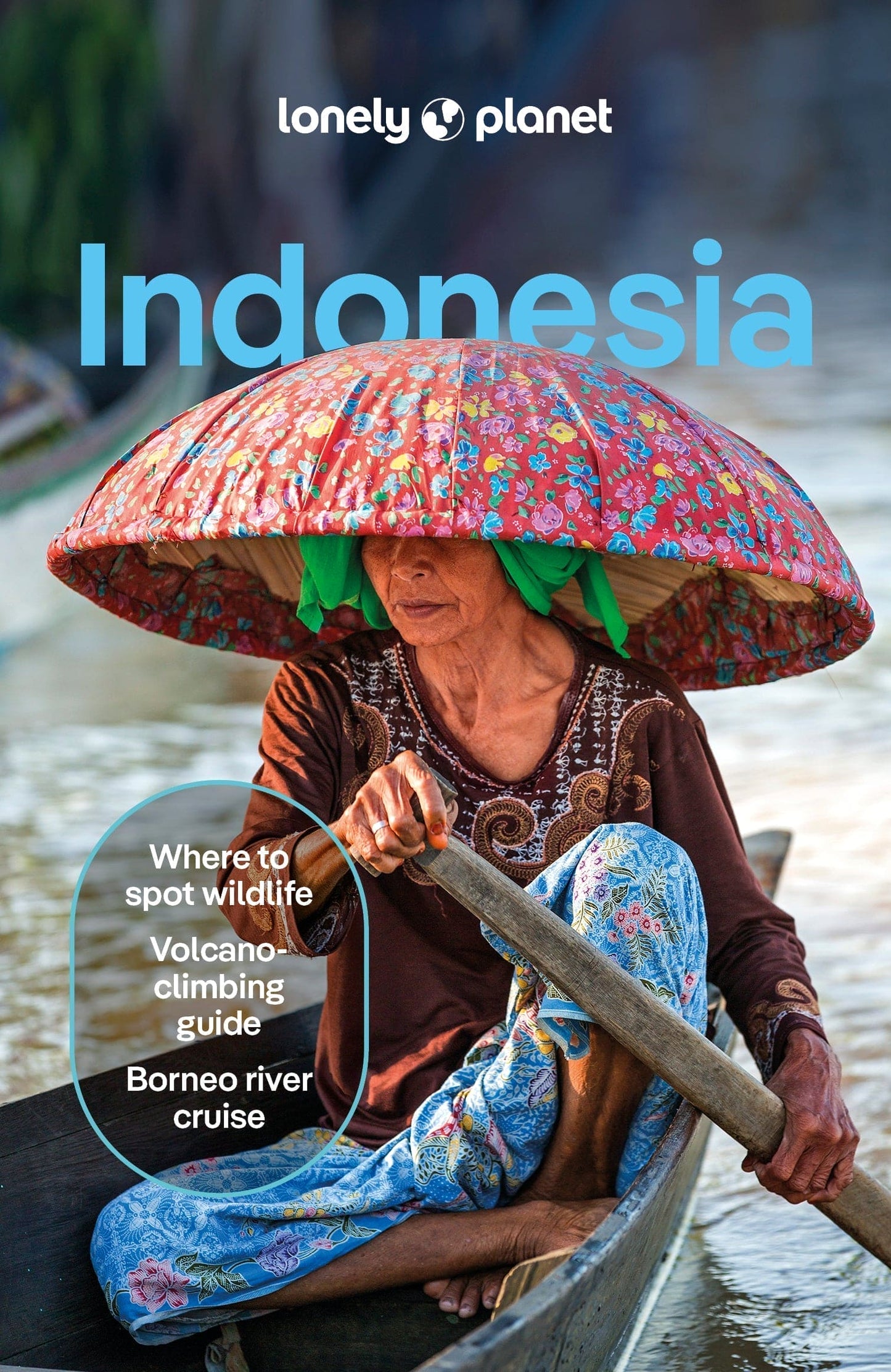 Indonesia Travel Guide Book by Lonely Planet