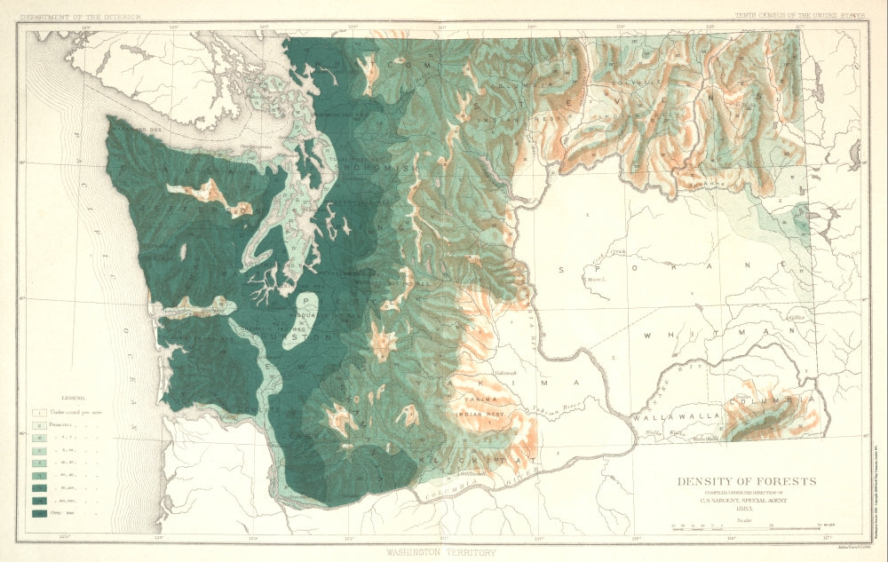 Antique Map of Washington Territory 1883 - Density of Forests