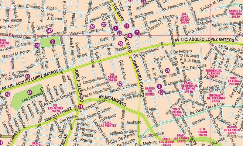 Aguascalientes, Mexico State Road Map - Map Detail