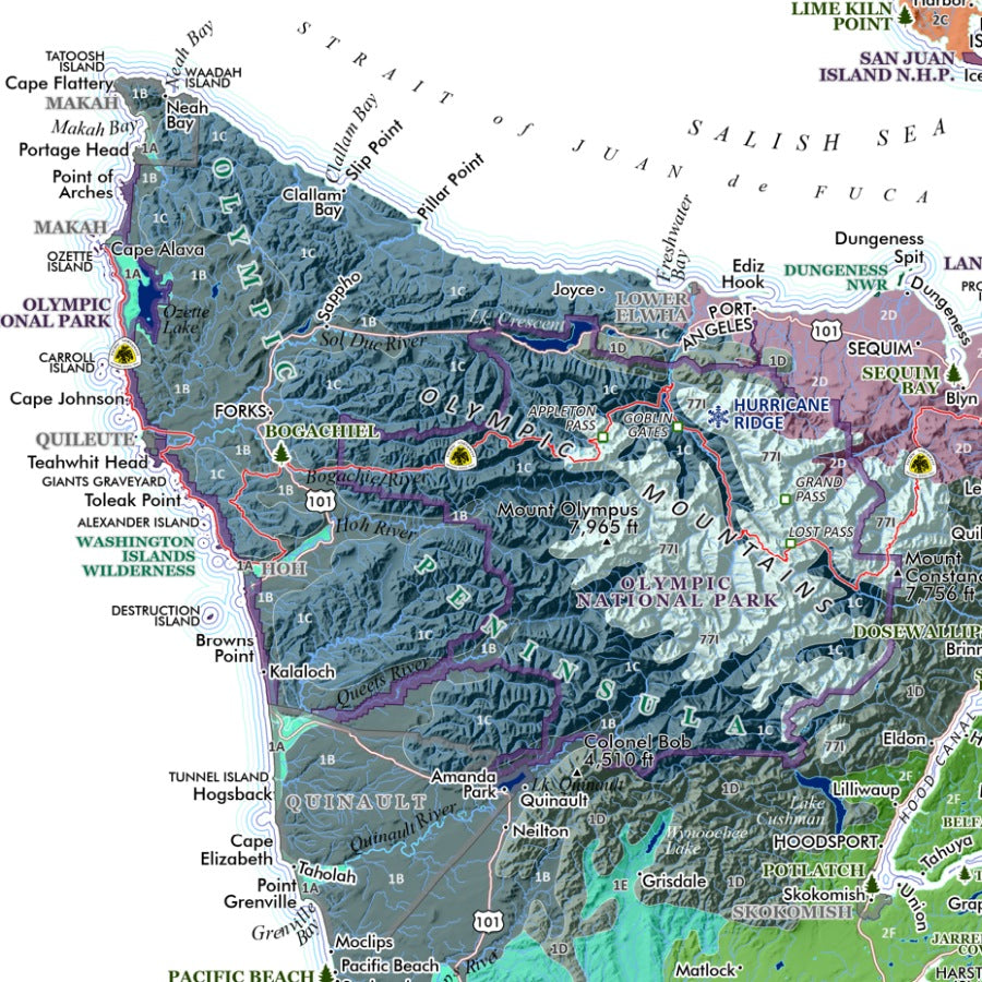 Washington Ecological Regions Reference Map - Olympics Area Detail