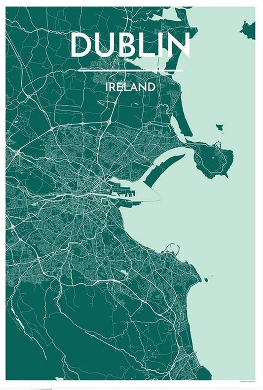 Dublin Map Print