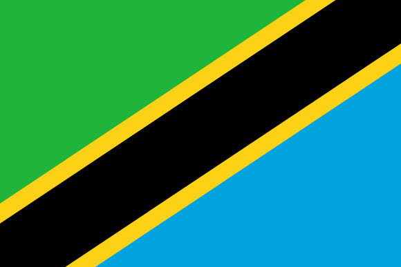 Tanzania Flag