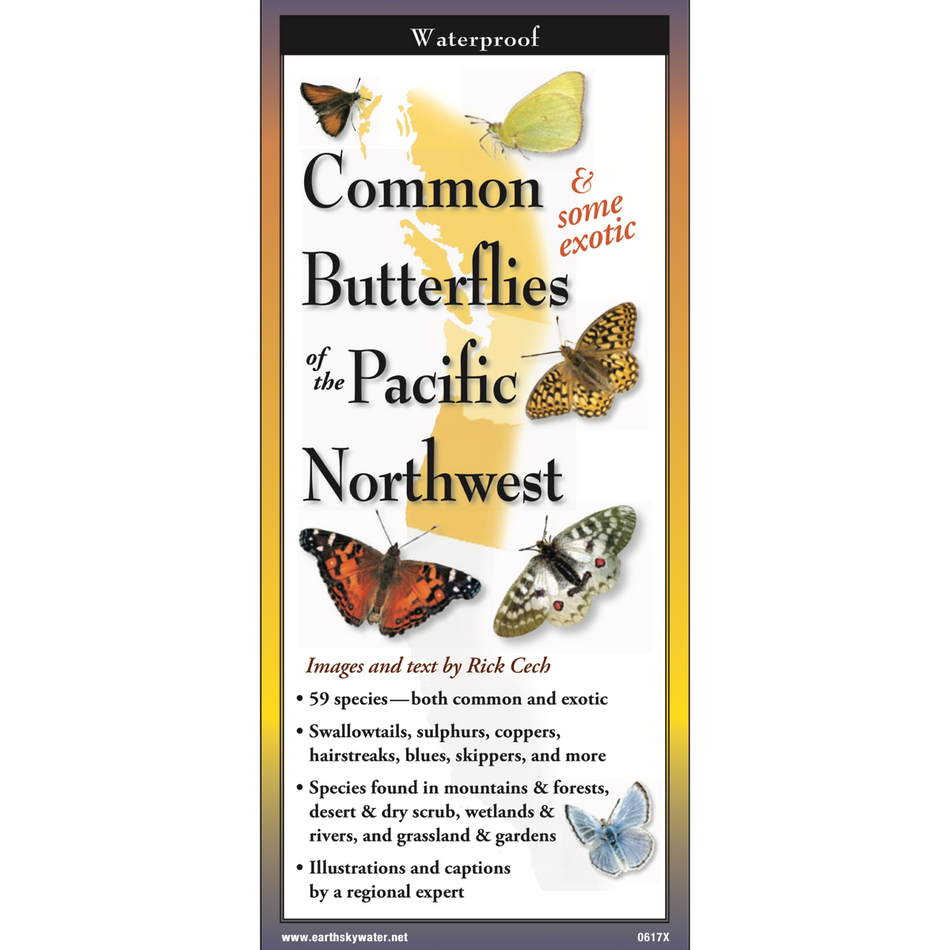 Common Butterflies of Pacific Northwest Pocket Guide