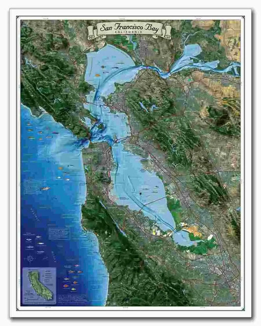 San Francisco Bay Satellite Map