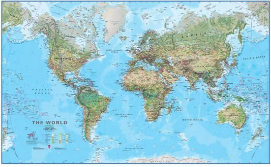 Environmental World Map by Maps International