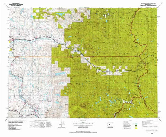 Skykomish River USGS 1:100K Topo Map