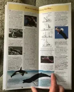 Alaska Inside Passage Cruise Map & Guide