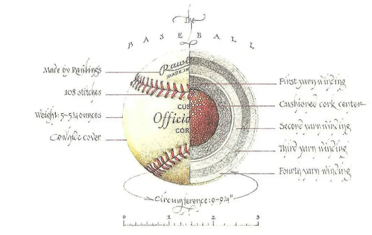 Anatomy of a Baseball Illustration