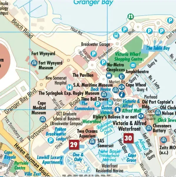 Cape Town Laminated City Map l Borch