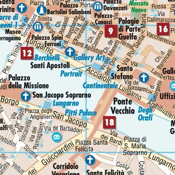 Florence Laminated City Street Map l Borch