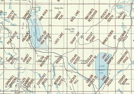 Lake Abert Area 1:24K USGS Topo Maps
