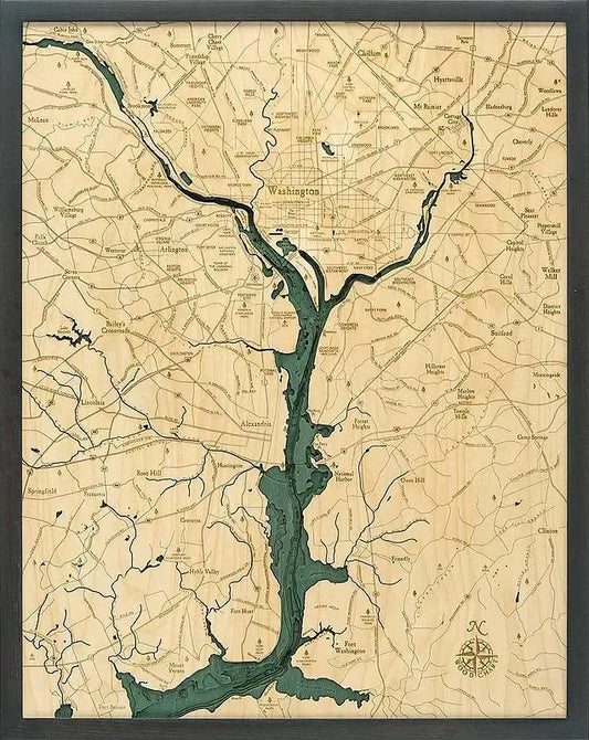 Washington D.C. Wood Chart