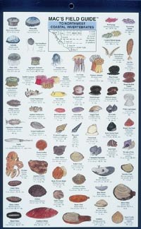 Mac's Field Guide to Northwest Coastal Invertebrates