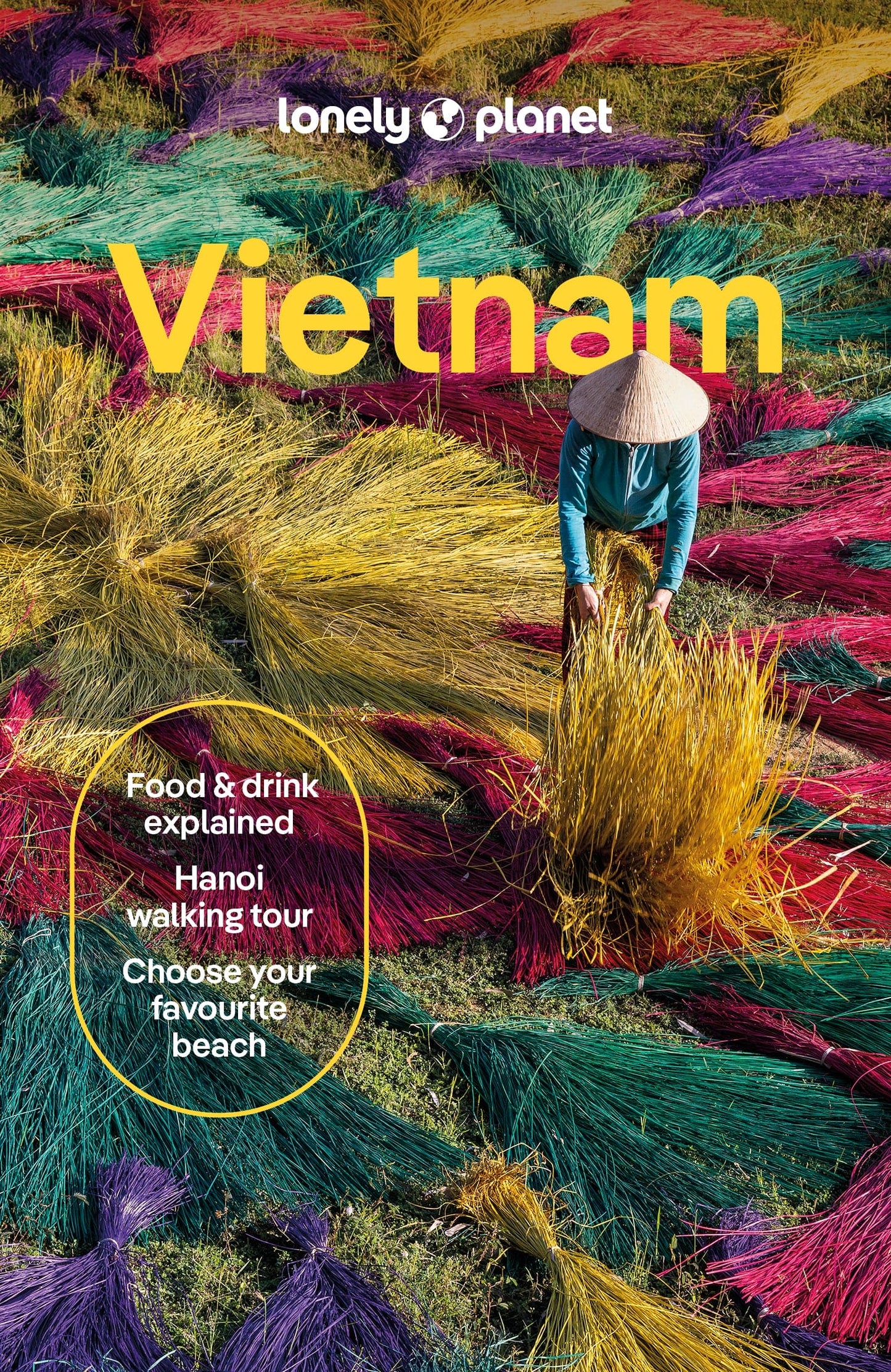 Vietnam Travel Guide Book