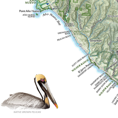 The Greater San Francisco Bay Area map