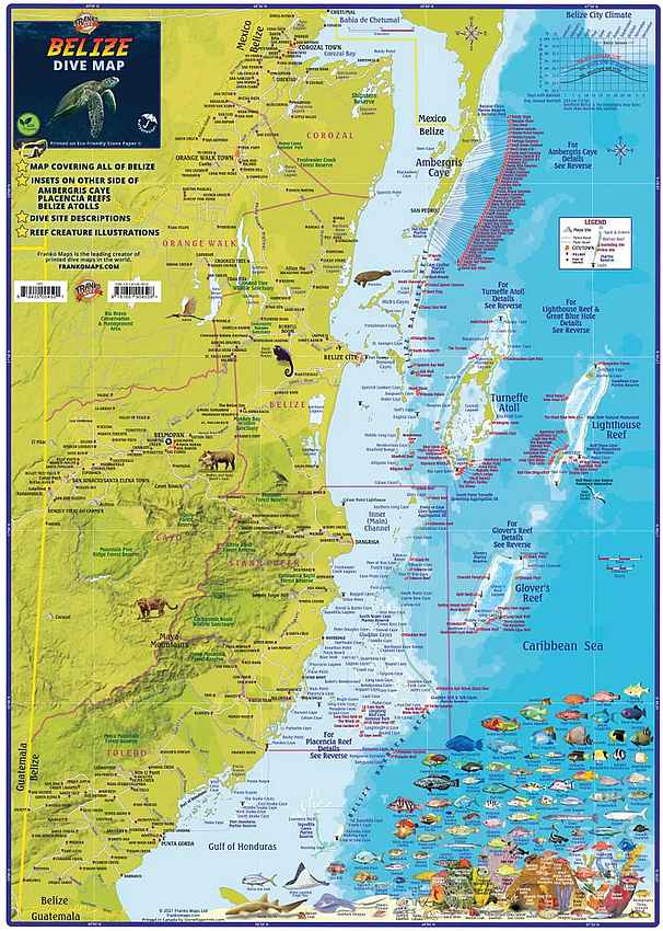 Belize Dive Map by Franko Maps