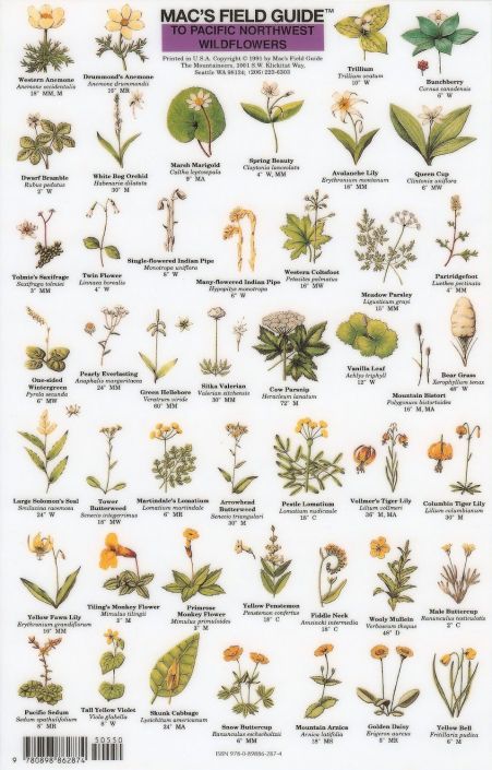 Mac's Field Guide to Pacific Northwest Wildflowers – Metsker Maps