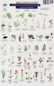 Mac's Field Guide to Mt Rainier Trees and Wildflowers