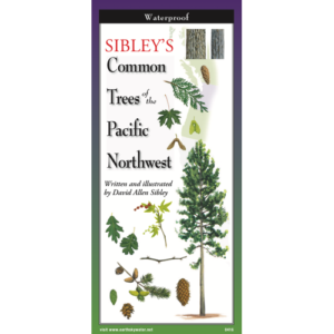 Common Trees of Pacific Northwest Pocket Guide
