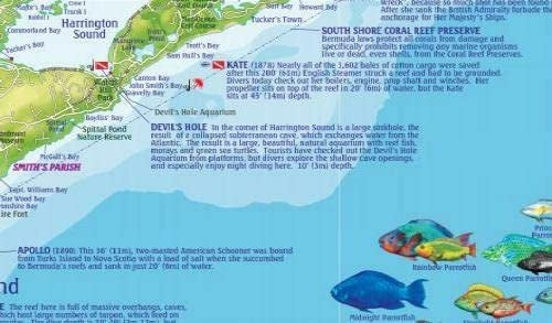 Bermuda Adventure & Dive Map by Franko Maps - Detail