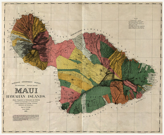 Maui 1885 Antique Map Reproduction