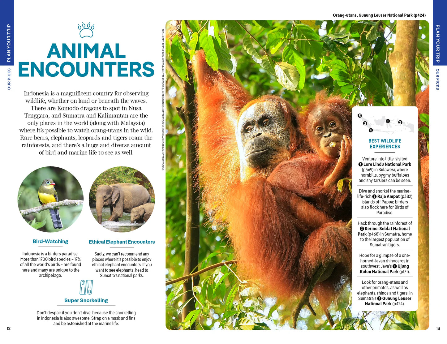 Indonesia Travel Guide Book by Lonely Planet - Sample Page