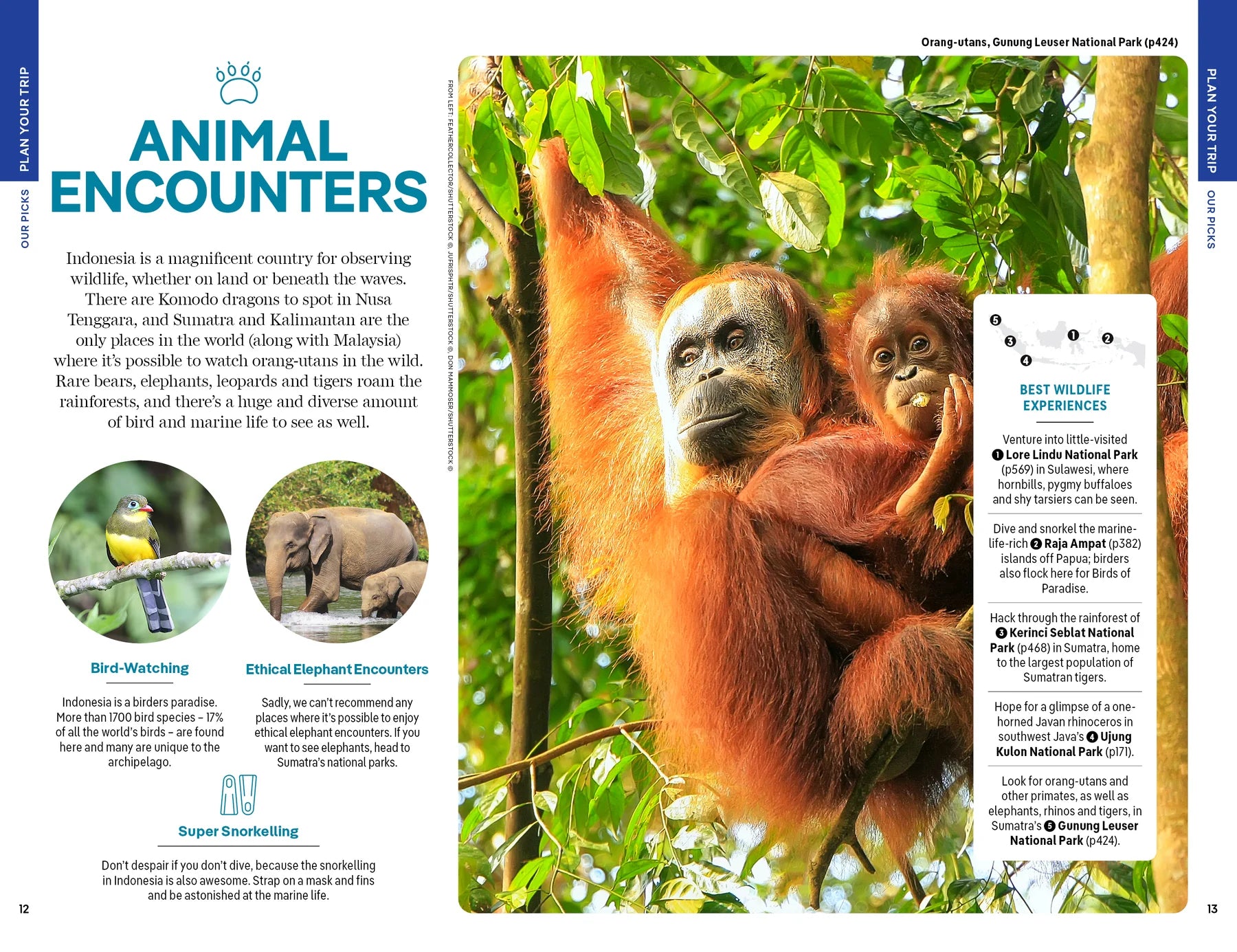 Indonesia Travel Guide Book by Lonely Planet - Sample Page