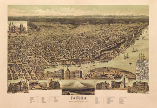 Antique Map of Tacoma, WA 1890