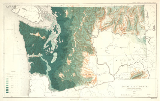 Antique Map of Washington Territory 1883 - Density of Forests