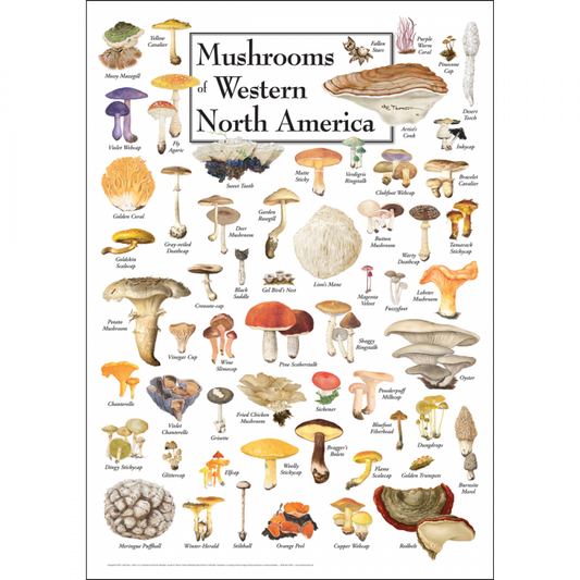 Mushrooms of Western NA poster