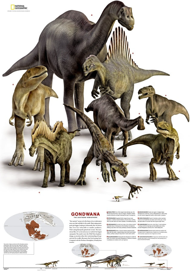 Dinosaurs of Gondwana & Laurasia Reference Map from Nat Geo Archives - Gondwana Detail