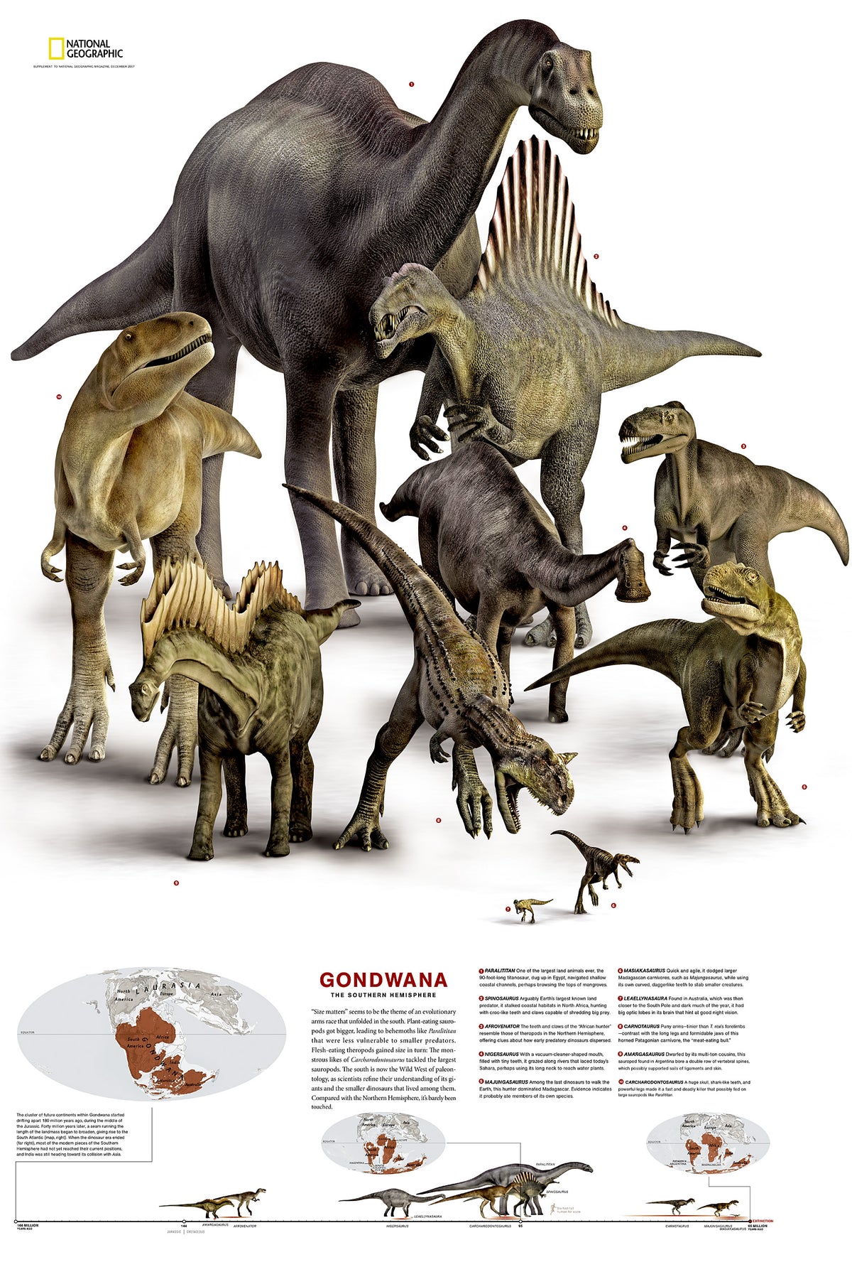 Dinosaurs of Gondwana & Laurasia Folded Reference Map by National Geographic