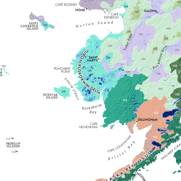 Alaska Ecological Regions Reference Map - Detail
