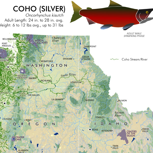 Salmon & Steelhead of the Pacific Northwest Fisheries Map - Detail (Coho)