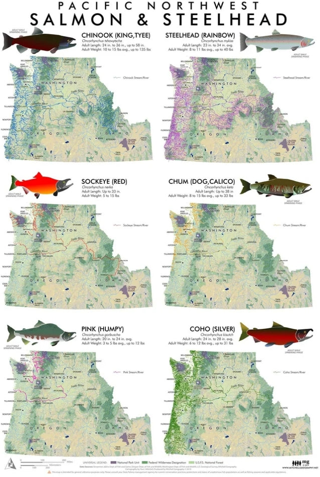 Salmon & Steelhead of the Pacific Northwest Fisheries Map
