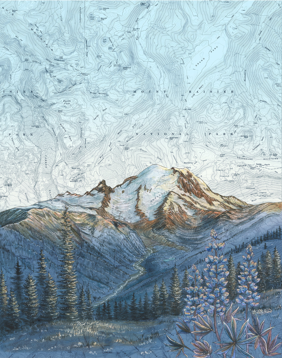 A topographic-style landscape artwork showing snow-capped mountains, evergreen trees, and blue-purple wildflowers, with contour lines and labels across the sky.