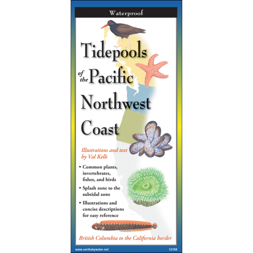 Tidepools of Pacific Northwest Pocket Guide