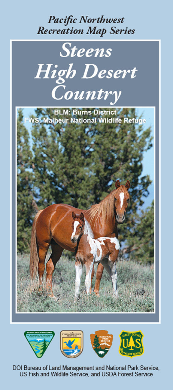 Steens High Desert Country National Forest Service Map - Cover