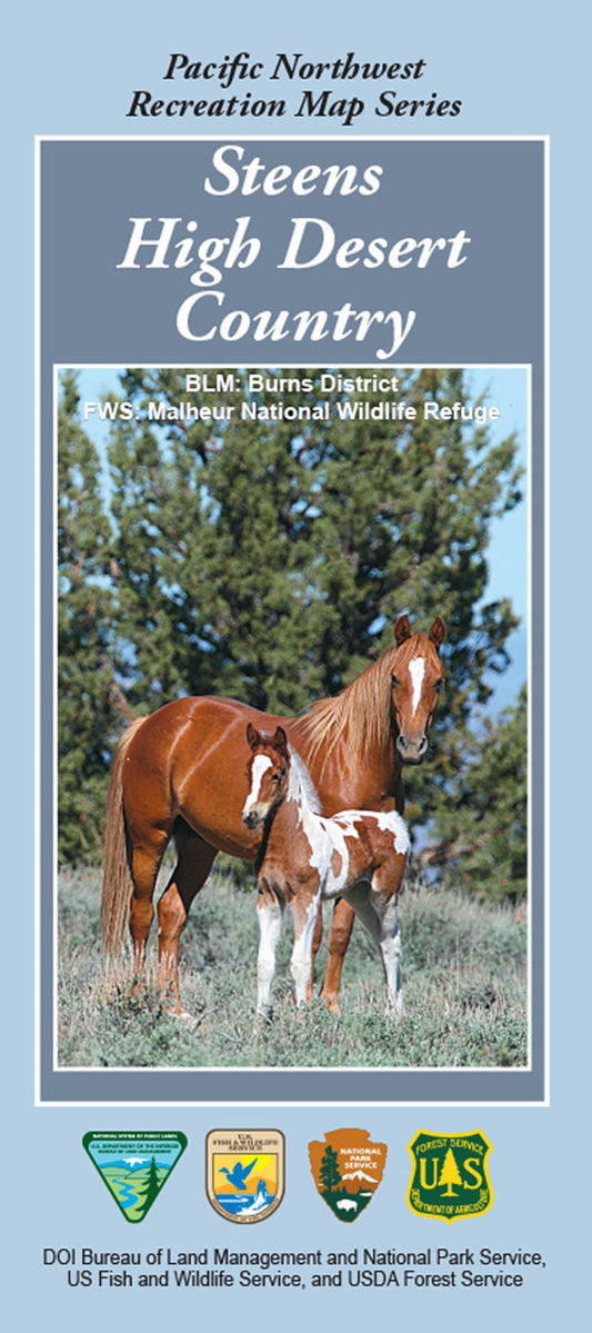 Steens High Desert Country National Forest Service Map - Cover