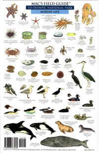 Mac's Field Guide to Olympic National Park